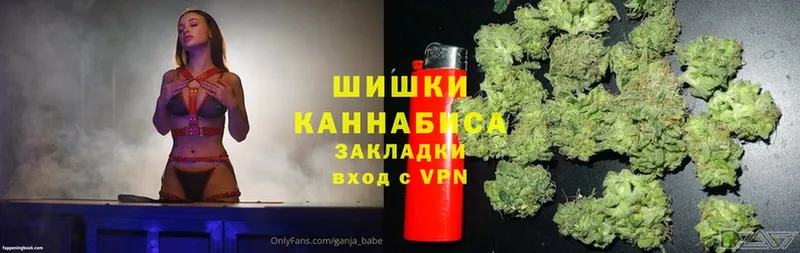 купить наркотик  Буй  МЕГА ССЫЛКА  Марихуана OG Kush 